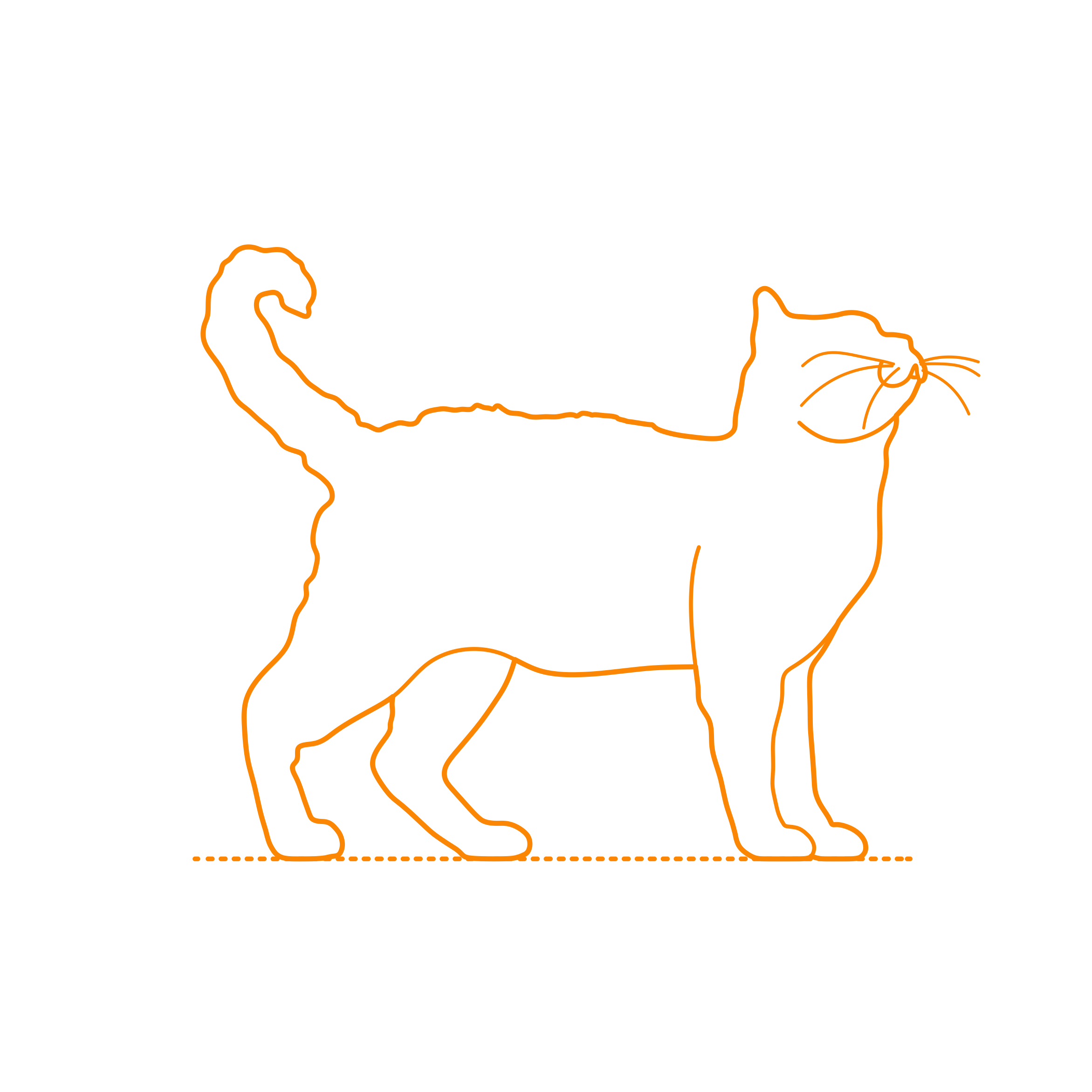 Animals Cats American Wirehair Cat Line Art Svg Vector Free Vectors